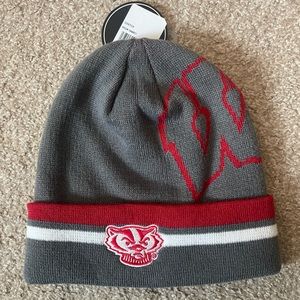 Wisconsin badger winter hat